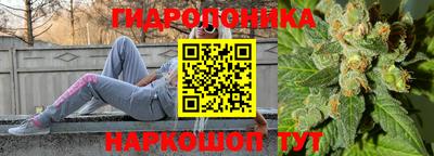 МДМА Новозыбков