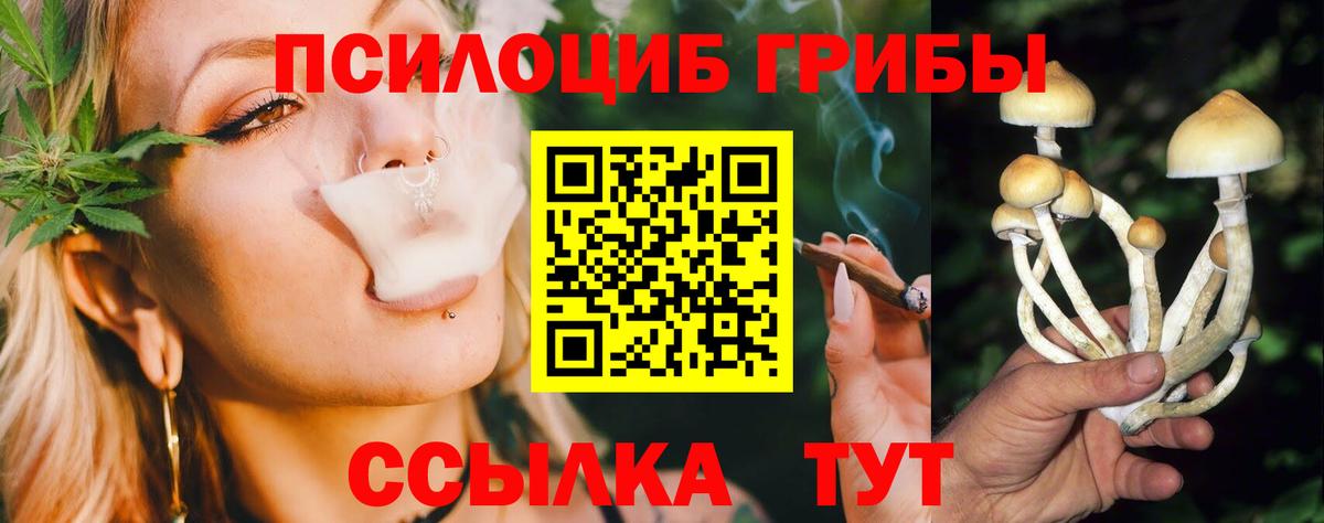 Волгоград  Галлюциногенные грибы MAGIC MUSHROOMS  Вход с VPN 